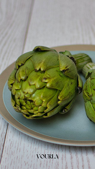 19 Artichoke Vourla